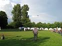 LV Zeltlager 2008 392